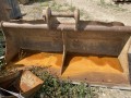 IMG-6528.jpg