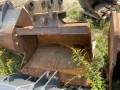 IMG-8118.jpg