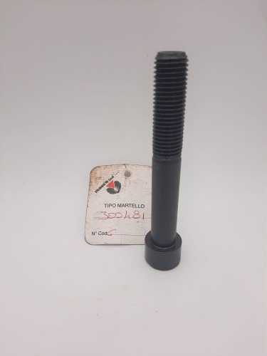 300481.jpg